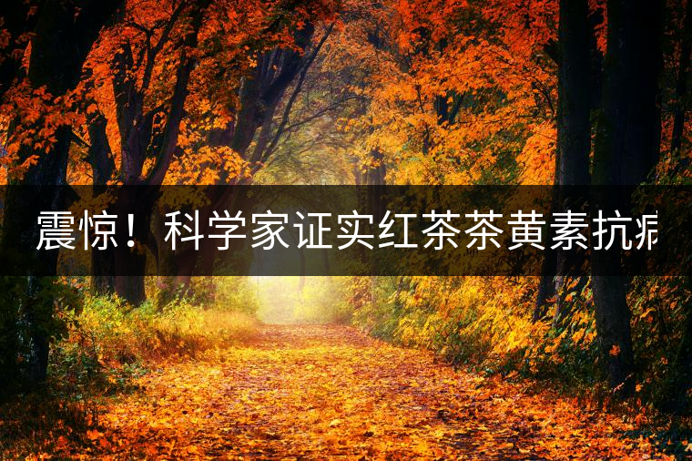 震驚！科學(xué)家證實(shí)紅茶茶黃素抗病毒新功能！