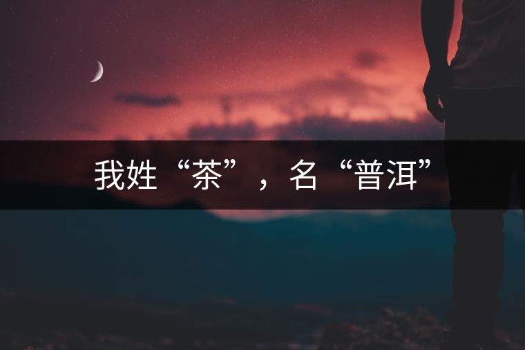 我姓“茶”，名“普洱”
