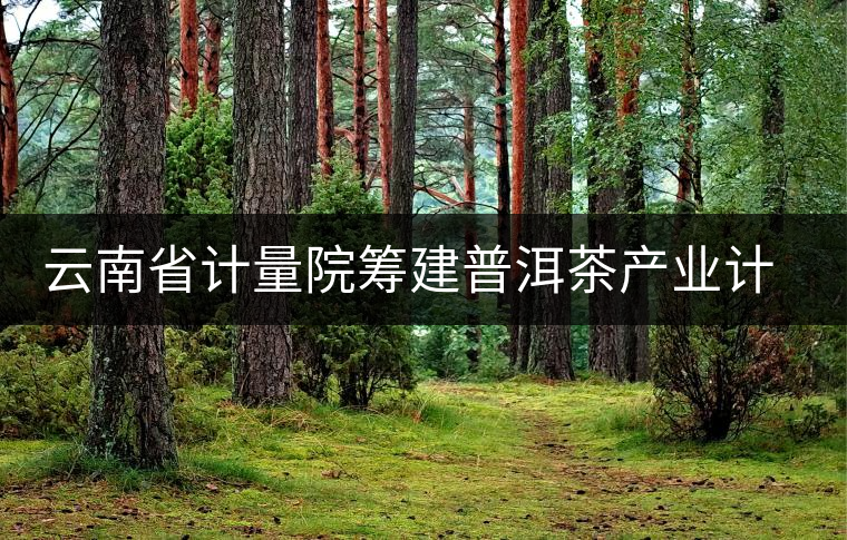 云南省計量院籌建普洱茶產(chǎn)業(yè)計量測試中心