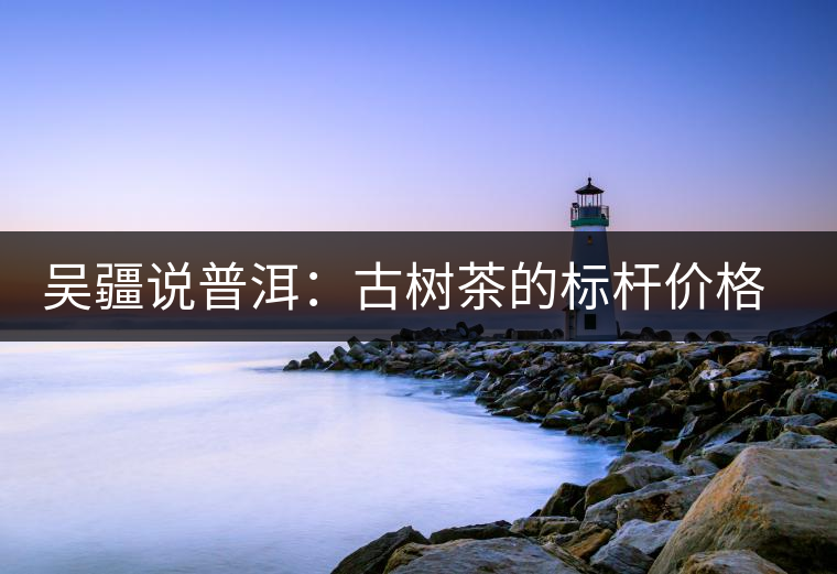 吳疆說(shuō)普洱：古樹茶的標(biāo)桿價(jià)格在哪里？