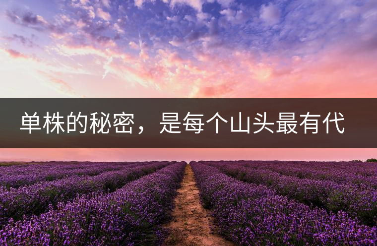 單株的秘密，是每個(gè)山頭最有代表性的味道？