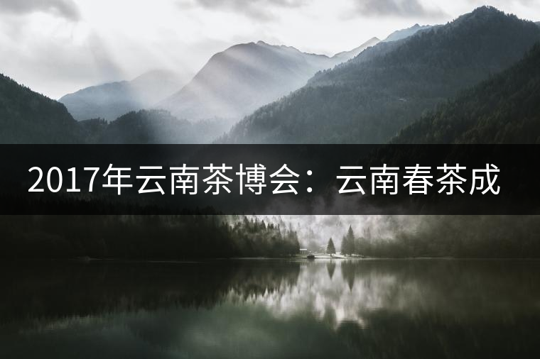 2017年云南茶博會：云南春茶成品茶價格上漲，平均每公斤達94.31元