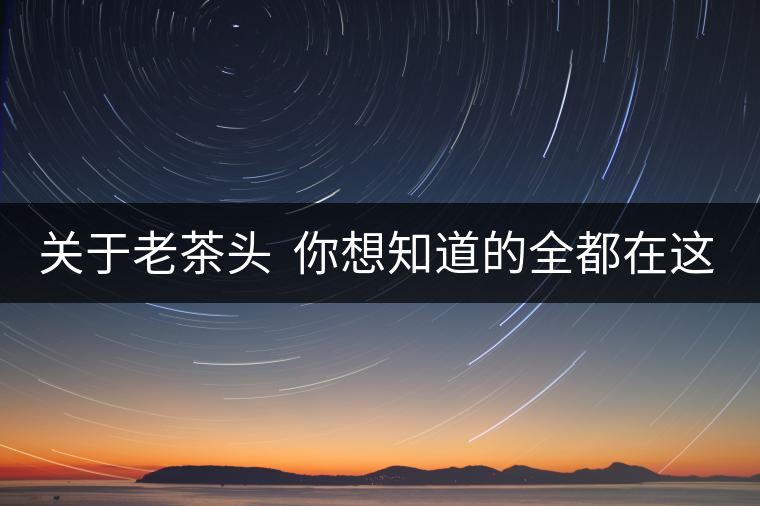關(guān)于老茶頭  你想知道的全都在這兒啦！