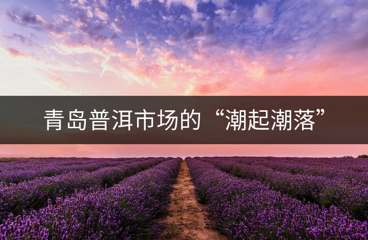 青島普洱市場(chǎng)的“潮起潮落”