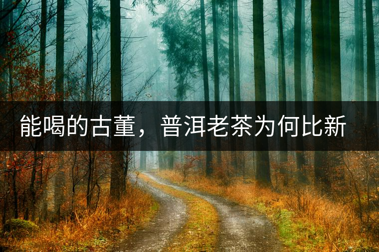 能喝的古董，普洱老茶為何比新茶更值錢？