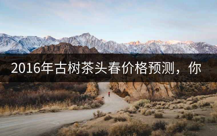2016年古樹茶頭春價(jià)格預(yù)測，你怎么看？