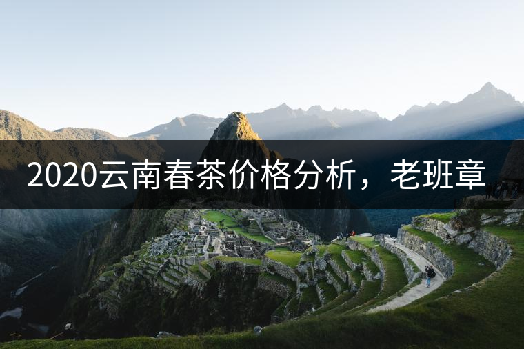 2020云南春茶價格分析，老班章依然將獨(dú)占鰲頭？