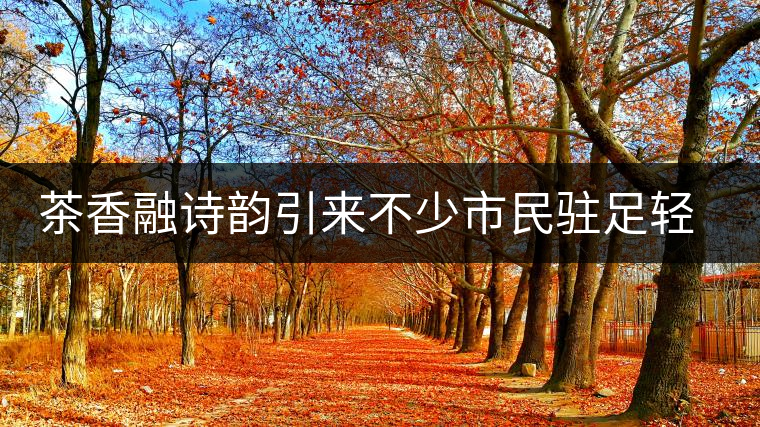 茶香融詩(shī)韻引來(lái)不少市民駐足輕吟