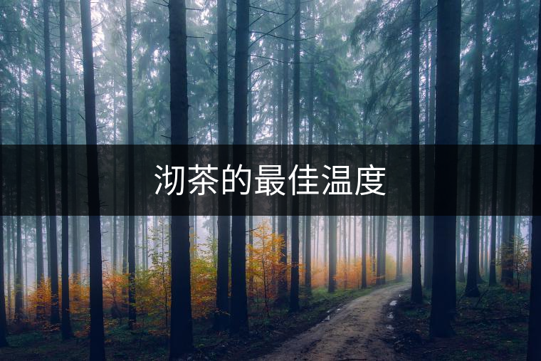 沏茶的最佳溫度 沏茶的最佳溫度