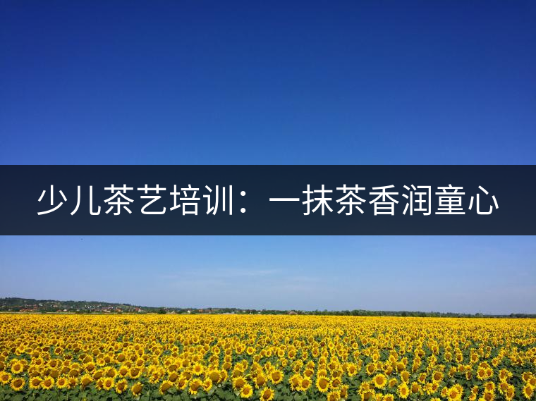 少兒茶藝培訓(xùn):一抹茶香潤(rùn)童心 少兒茶藝培訓(xùn):一抹茶香潤(rùn)童心