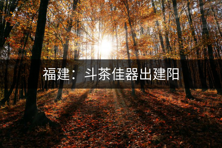 福建:斗茶佳器出建陽(yáng) 福建:斗茶佳器出建陽(yáng)