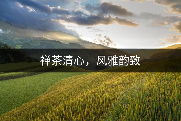 禪茶清心，風(fēng)雅韻致