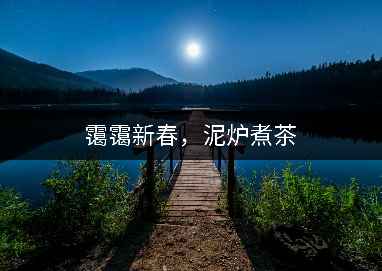 靄靄新春，泥爐煮茶