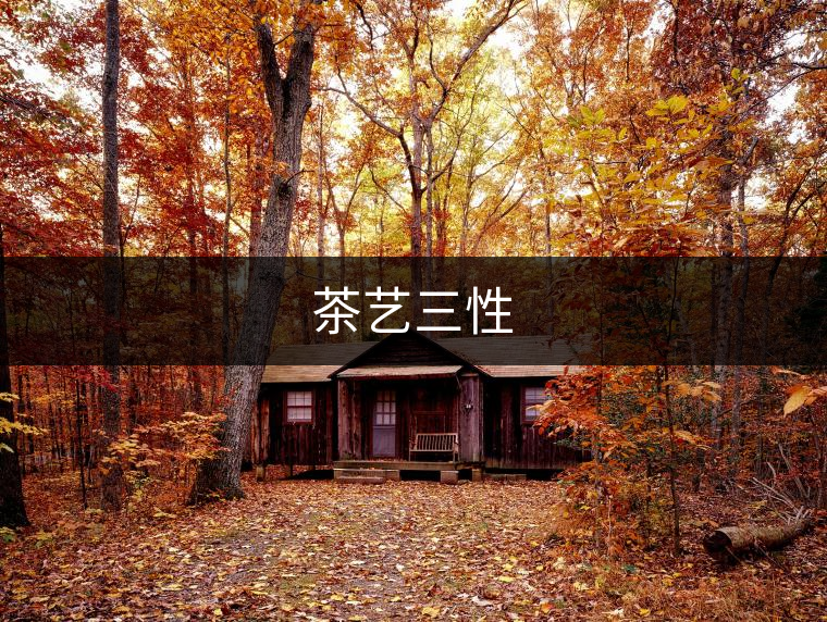 茶藝三性 茶藝三性