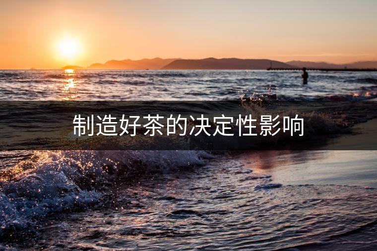 制造好茶的決定性影響