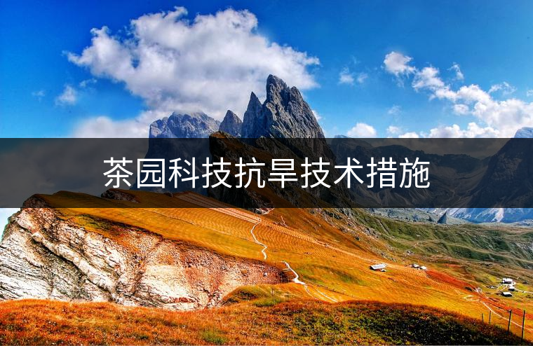 茶園科技抗旱技術(shù)措施