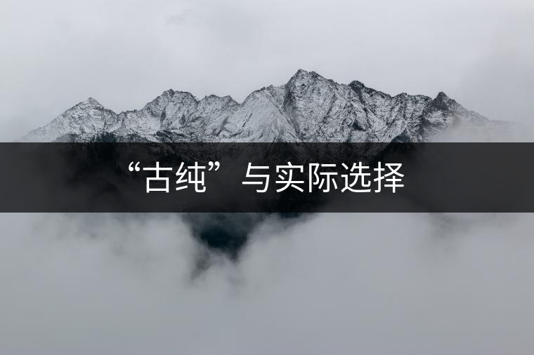“古純”與實際選擇