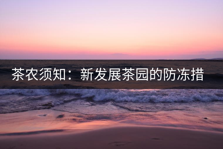 茶農須知：新發(fā)展茶園的防凍措施