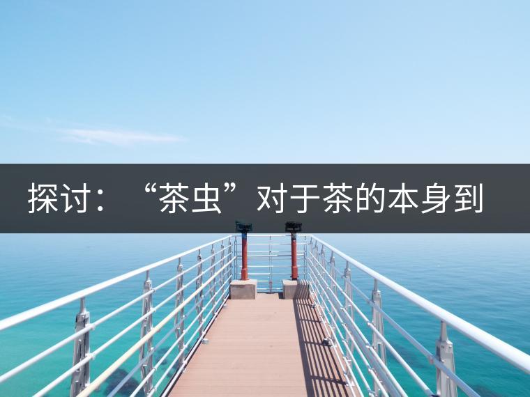 探討：“茶蟲”對(duì)于茶的本身到底是好是壞？