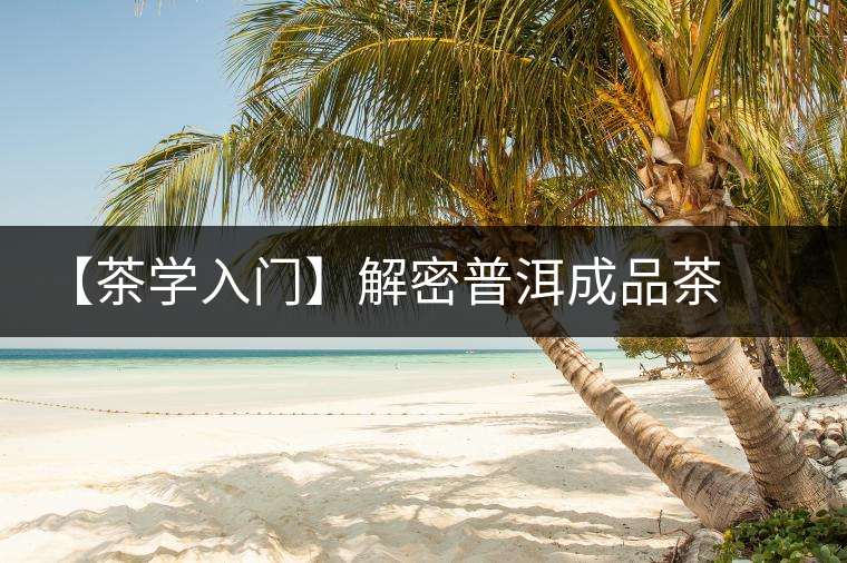 【茶學入門】解密普洱成品茶干燥 【茶學入門】解密普洱成品茶干燥