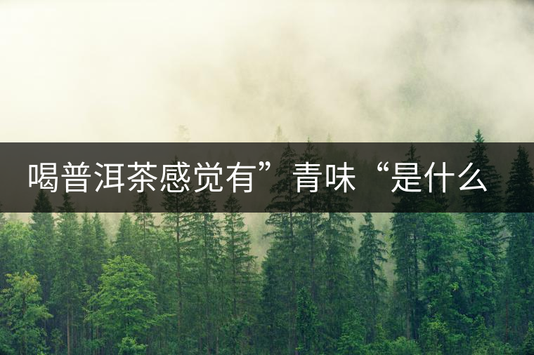喝普洱茶感覺(jué)有”青味“是什么原因？