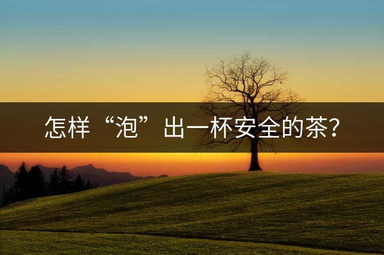 怎樣“泡”出一杯安全的茶？