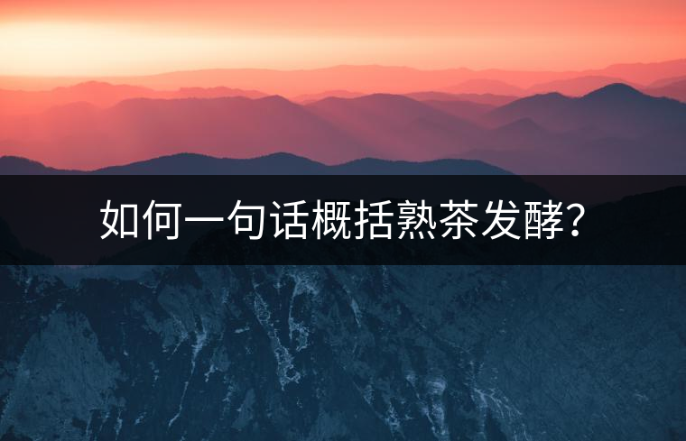 如何一句話概括熟茶發(fā)酵？