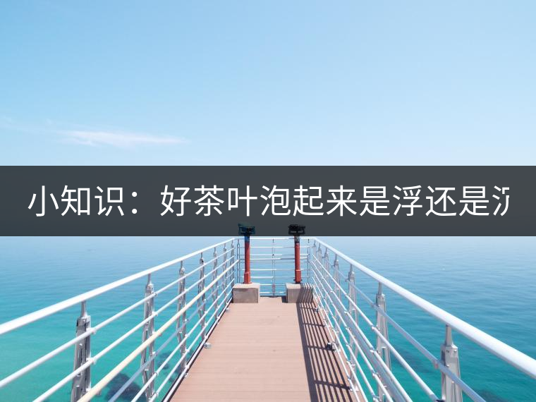 小知識：好茶葉泡起來是浮還是沉？