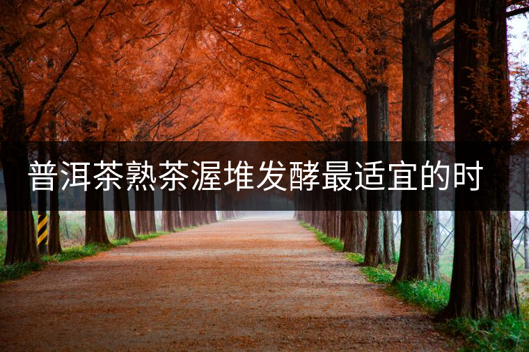 普洱茶熟茶渥堆發(fā)酵最適宜的時(shí)期是什么時(shí)候？