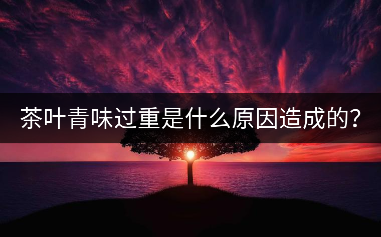茶葉青味過重是什么原因造成的？