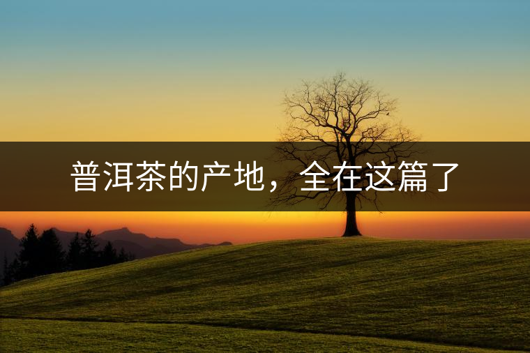 普洱茶的產(chǎn)地，全在這篇了