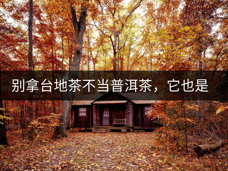 別拿臺地茶不當普洱茶，它也是大葉種喬木