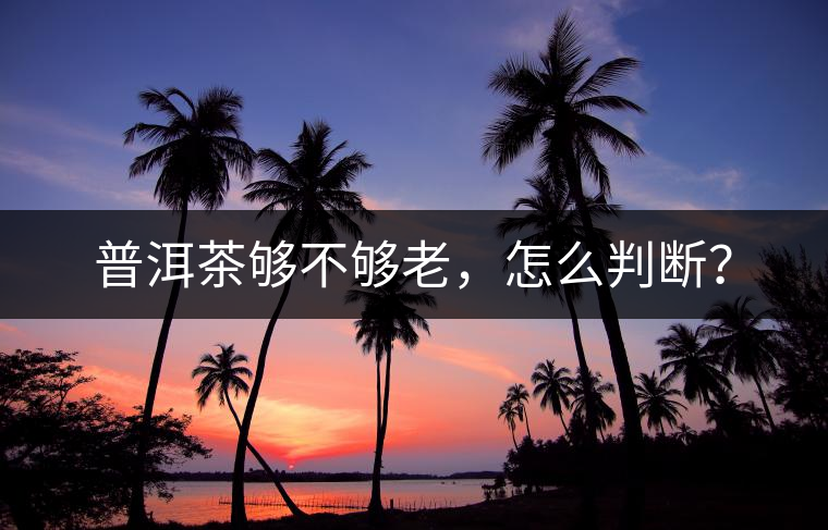 普洱茶夠不夠老，怎么判斷？