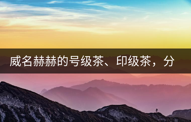 威名赫赫的號級茶、印級茶，分別是些什么普洱茶？