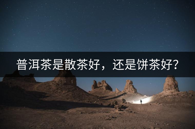 普洱茶是散茶好，還是餅茶好？