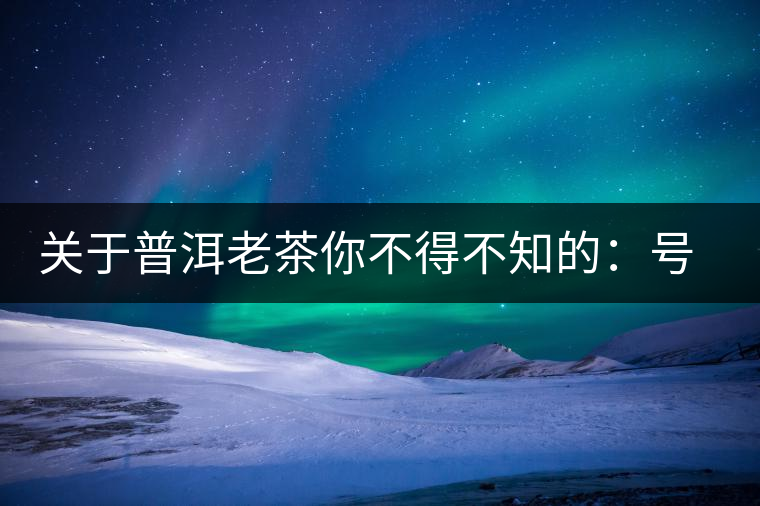 關(guān)于普洱老茶你不得不知的：號級茶、印級茶、七子餅茶