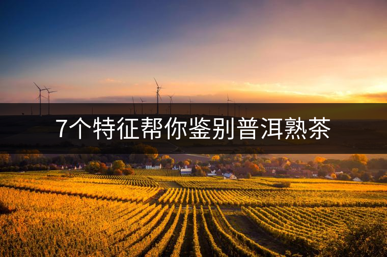 7個特征幫你鑒別普洱熟茶