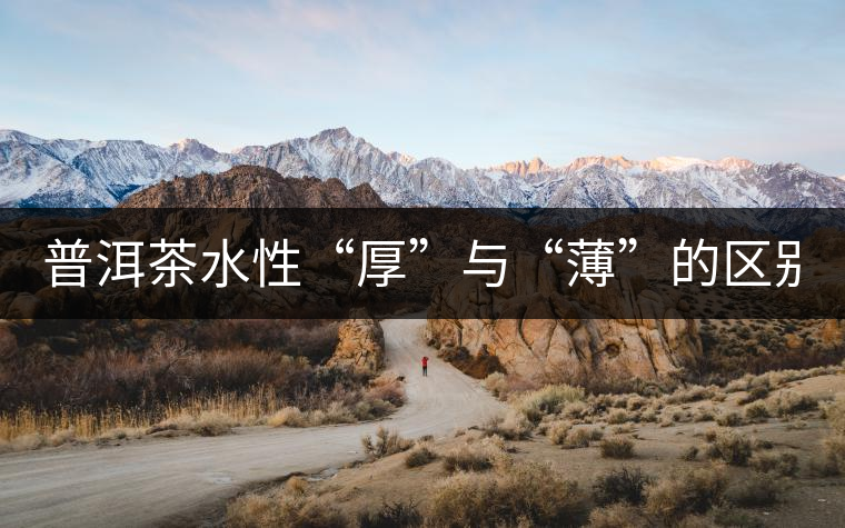 普洱茶水性“厚”與“薄”的區(qū)別！