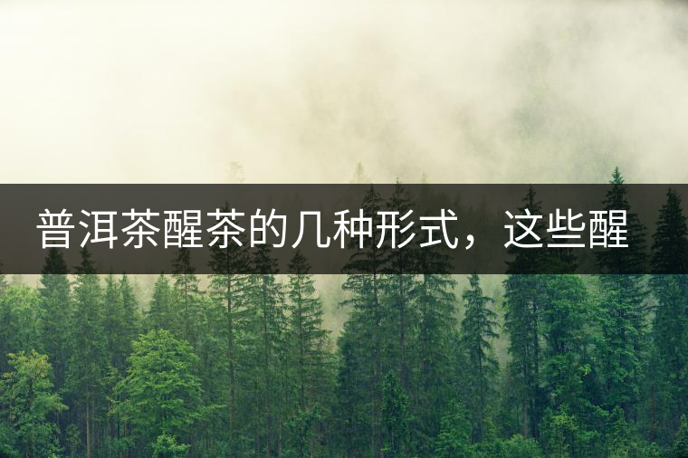 普洱茶醒茶的幾種形式，這些醒茶方法你都會了嗎？