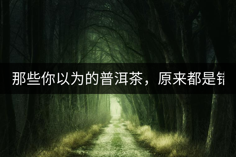 那些你以為的普洱茶，原來(lái)都是錯(cuò)的！