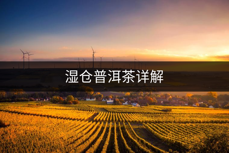 濕倉普洱茶詳解 濕倉普洱茶詳解