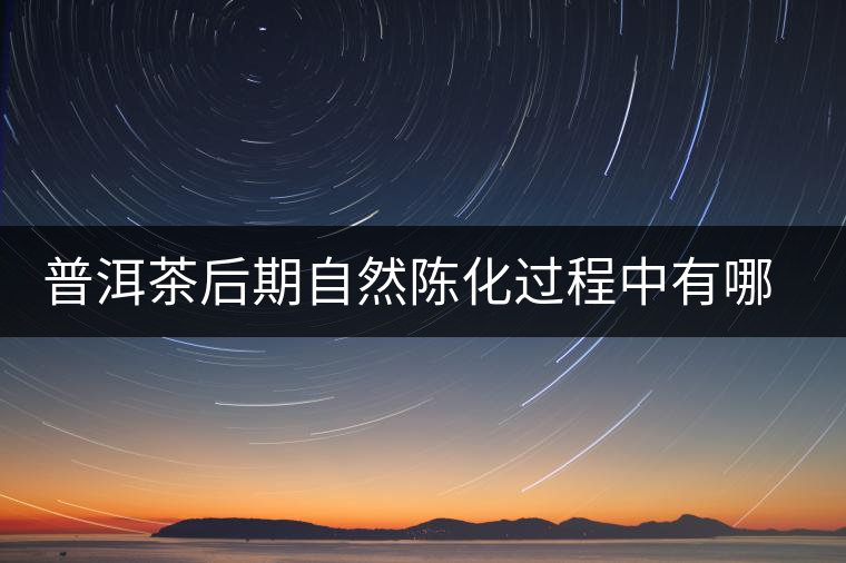 普洱茶后期自然陳化過程中有哪些變化？