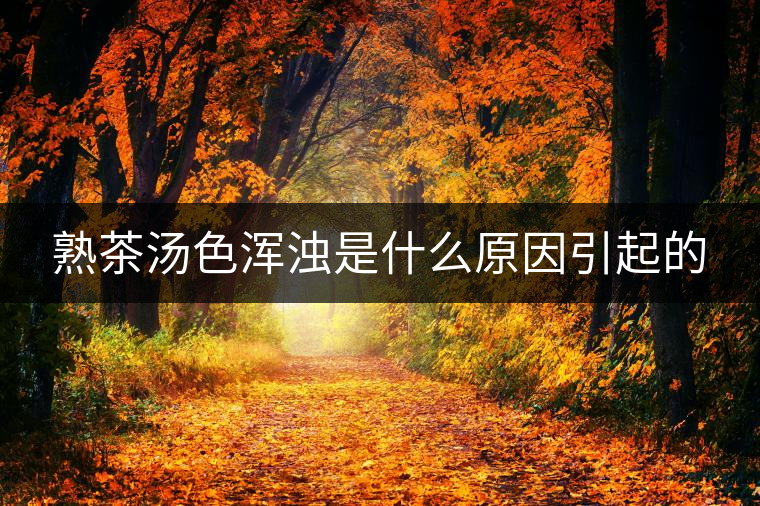 熟茶湯色渾濁是什么原因引起的