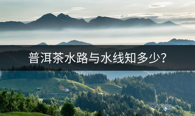 普洱茶水路與水線知多少？