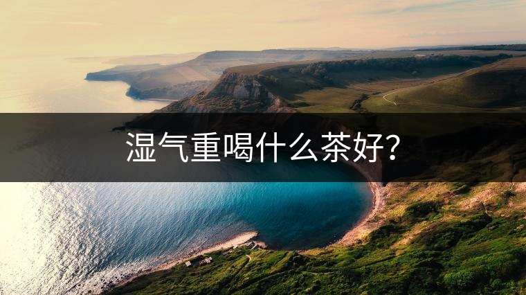 濕氣重喝什么茶好？