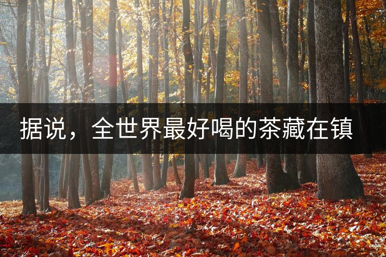 據(jù)說，全世界最好喝的茶藏在鎮(zhèn)沅
