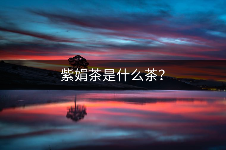紫娟茶是什么茶？