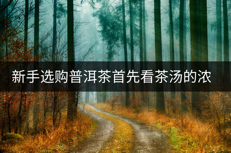 新手選購(gòu)普洱茶首先看茶湯的濃稠度