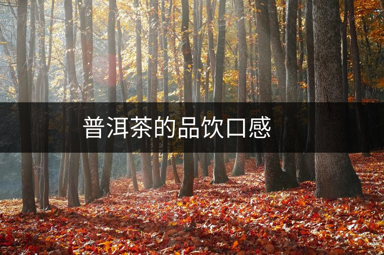 普洱茶的品飲口感 　　