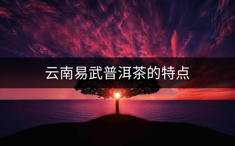 云南易武普洱茶的特點